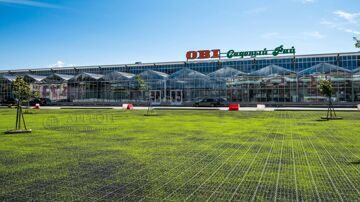 Экопарковка газонная