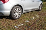 Экопарковка газонная решетка ECORASTER 